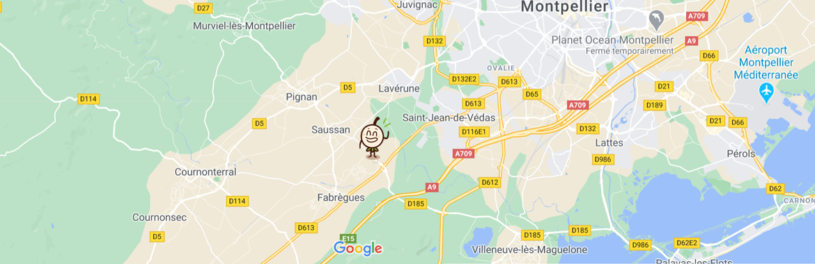 carte geoloc